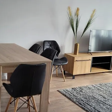 Apartament Edyta Stary Toruń Zewnętrze zdjęcie